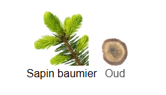 Hermessence Agar Ebene Hermès