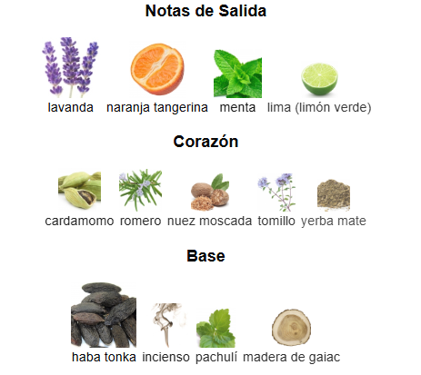 Solo Loewe Esencial Loewe