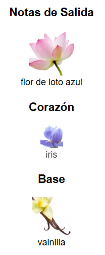 La Belle Paradise Garden