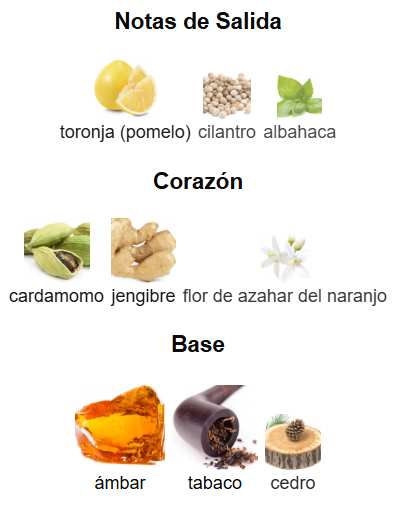 The One for Men Eau de Parfum