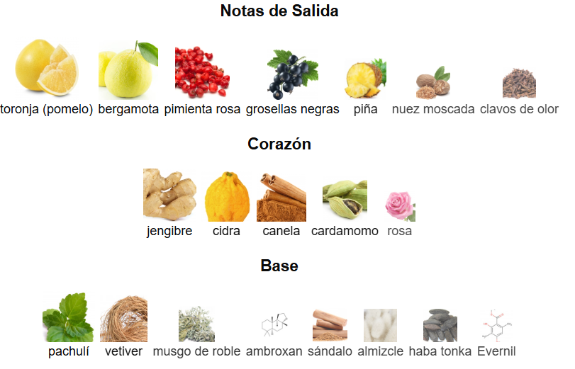 Aventus Creed Absolu