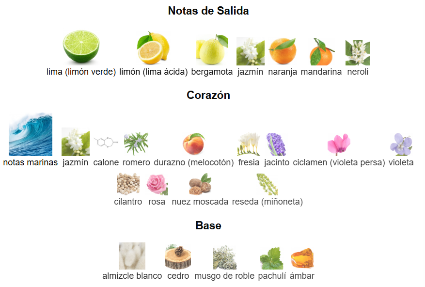 Acqua di Giò Pour Homme