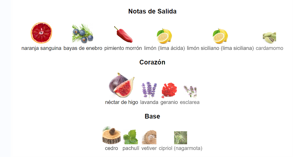 K by Dolce & Gabbana Eau de Parfum