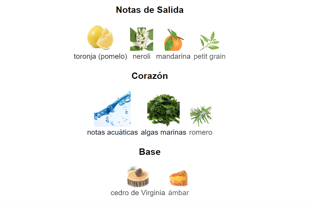 Aqva Pour Homme Marine