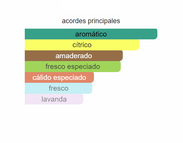 K by Dolce & Gabbana