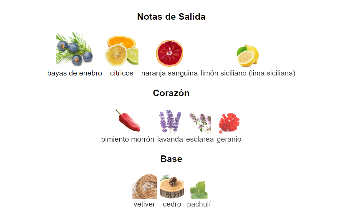 K by Dolce & Gabbana